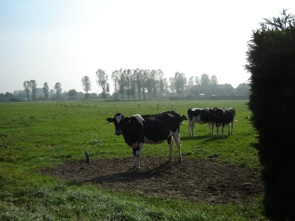 B&B De Kleine Prins Middelkerke